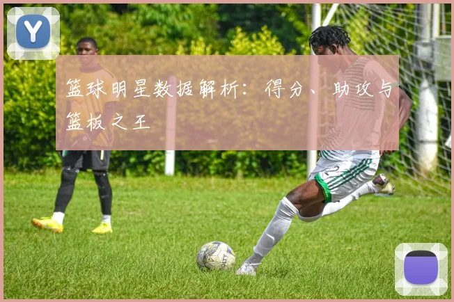 篮球明星数据解析：得分、助攻与篮板之王