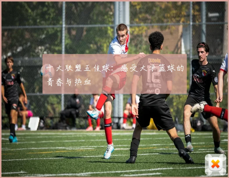 十大联盟五佳球：感受大学篮球的青春与热血